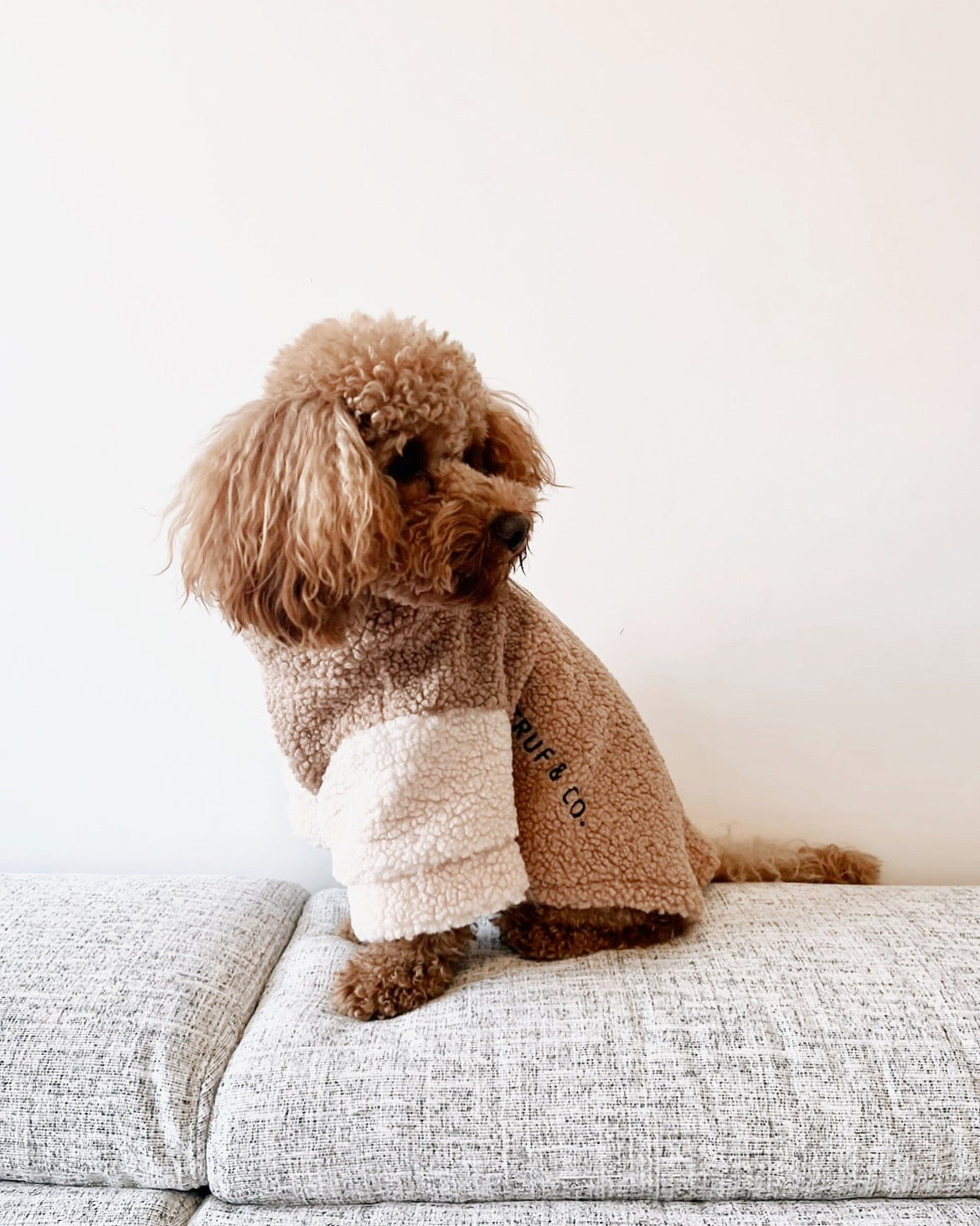 Boucle two tone turtleneck sweater