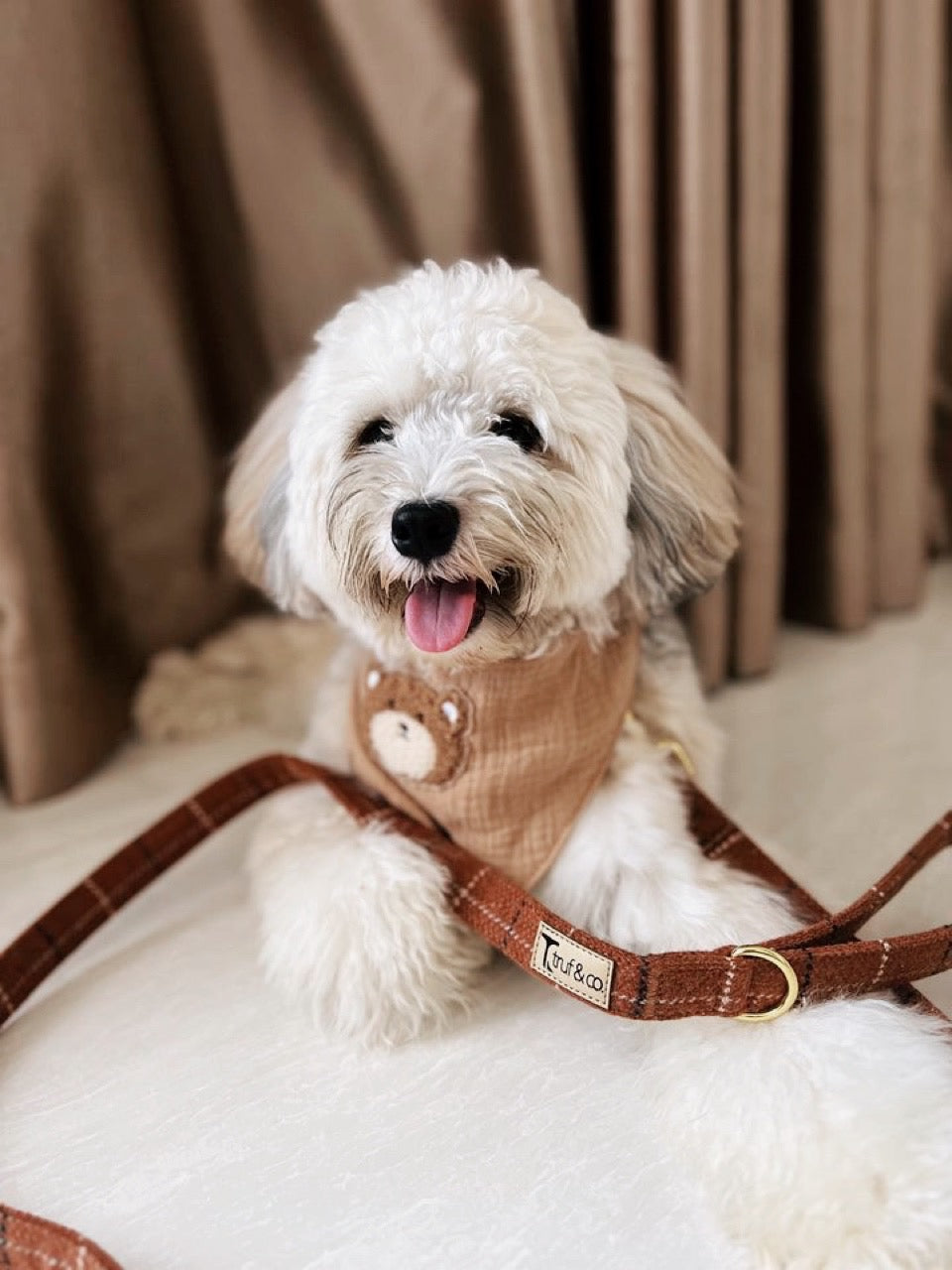 The Frenchie Adjustable Dog Harness