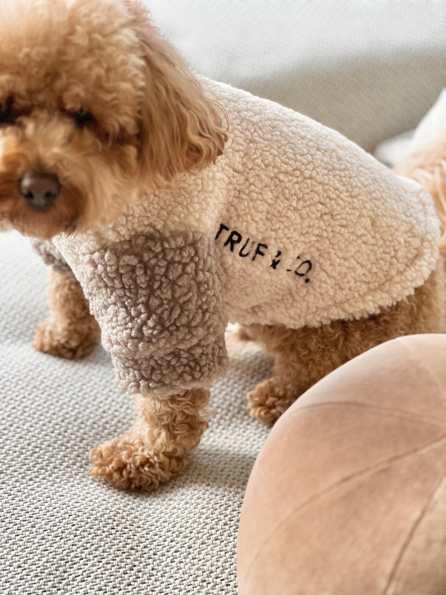 Boucle two tone turtleneck sweater