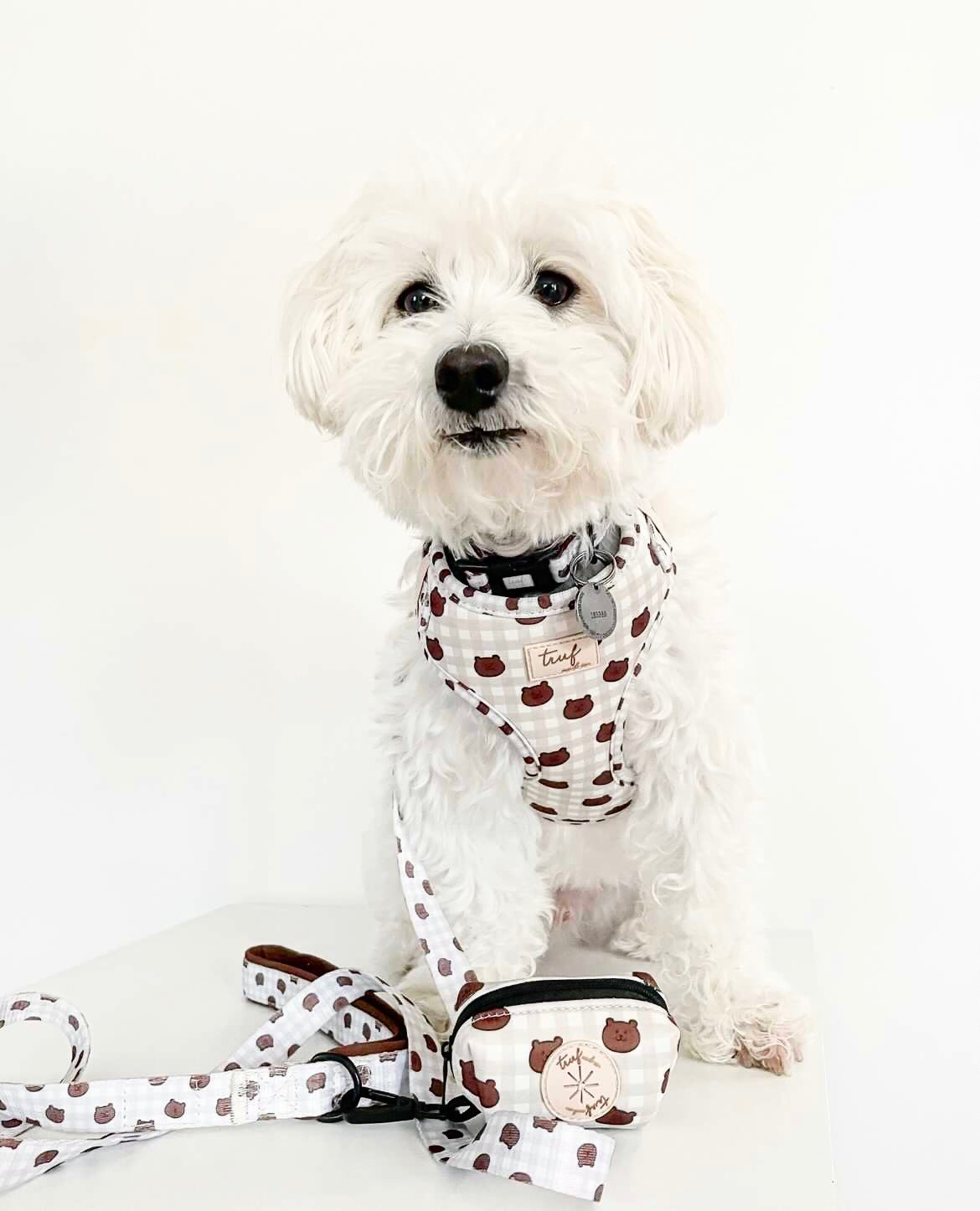 Cavi Adjustable Dog Harness