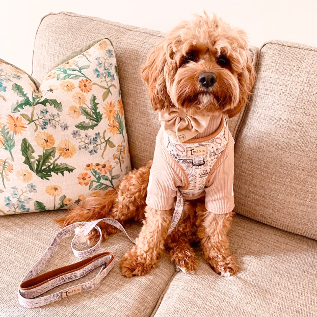 Wanderlust Adjustable Dog Harness