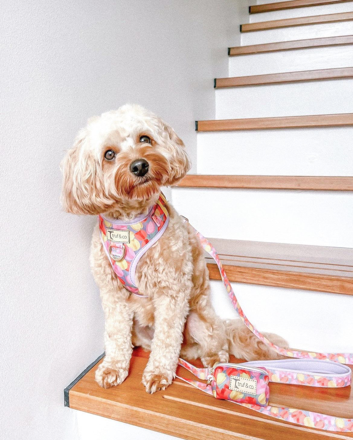 Blooming Adjustable Dog Harness