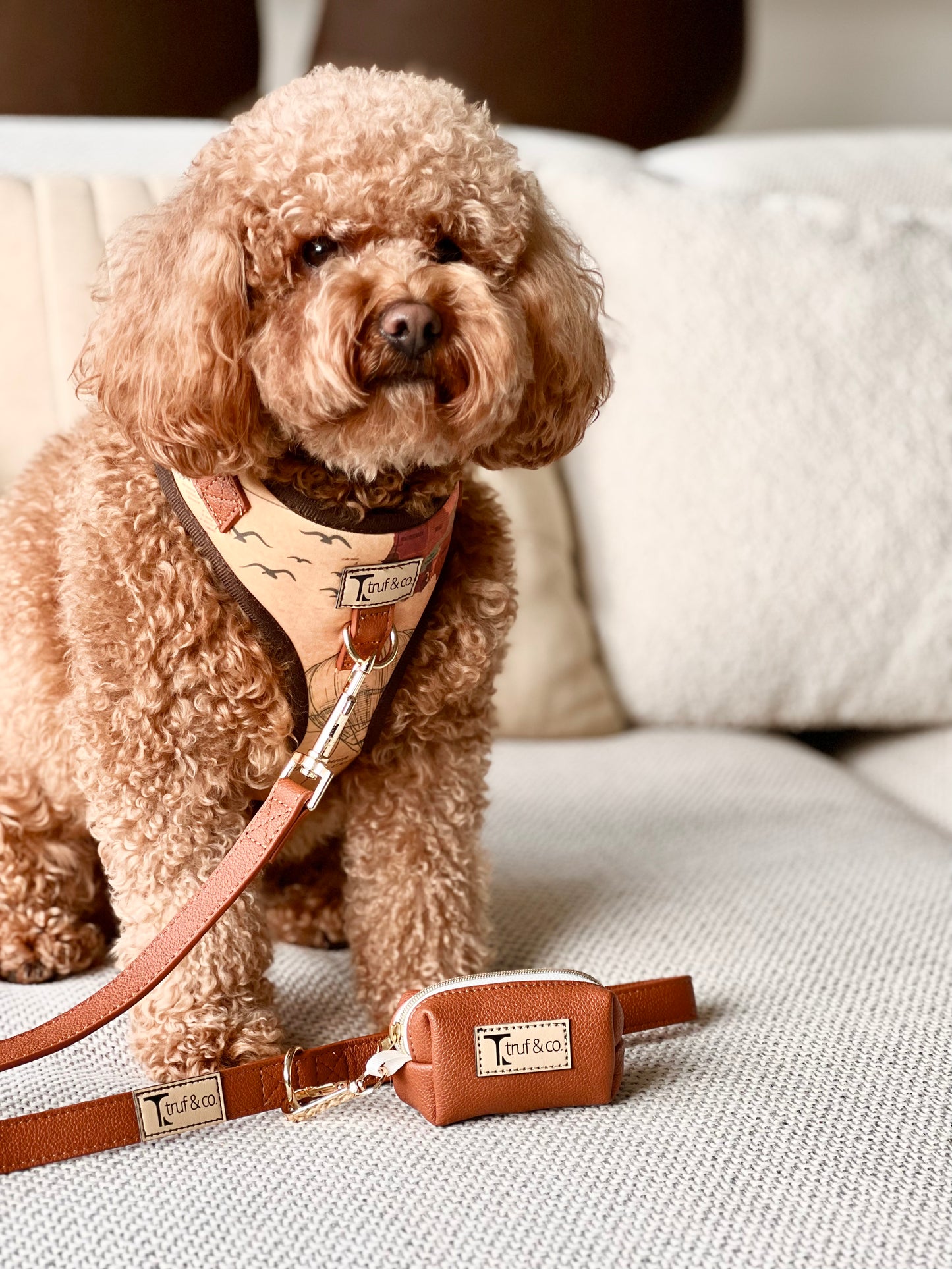 Vegan Leather Dog Leash