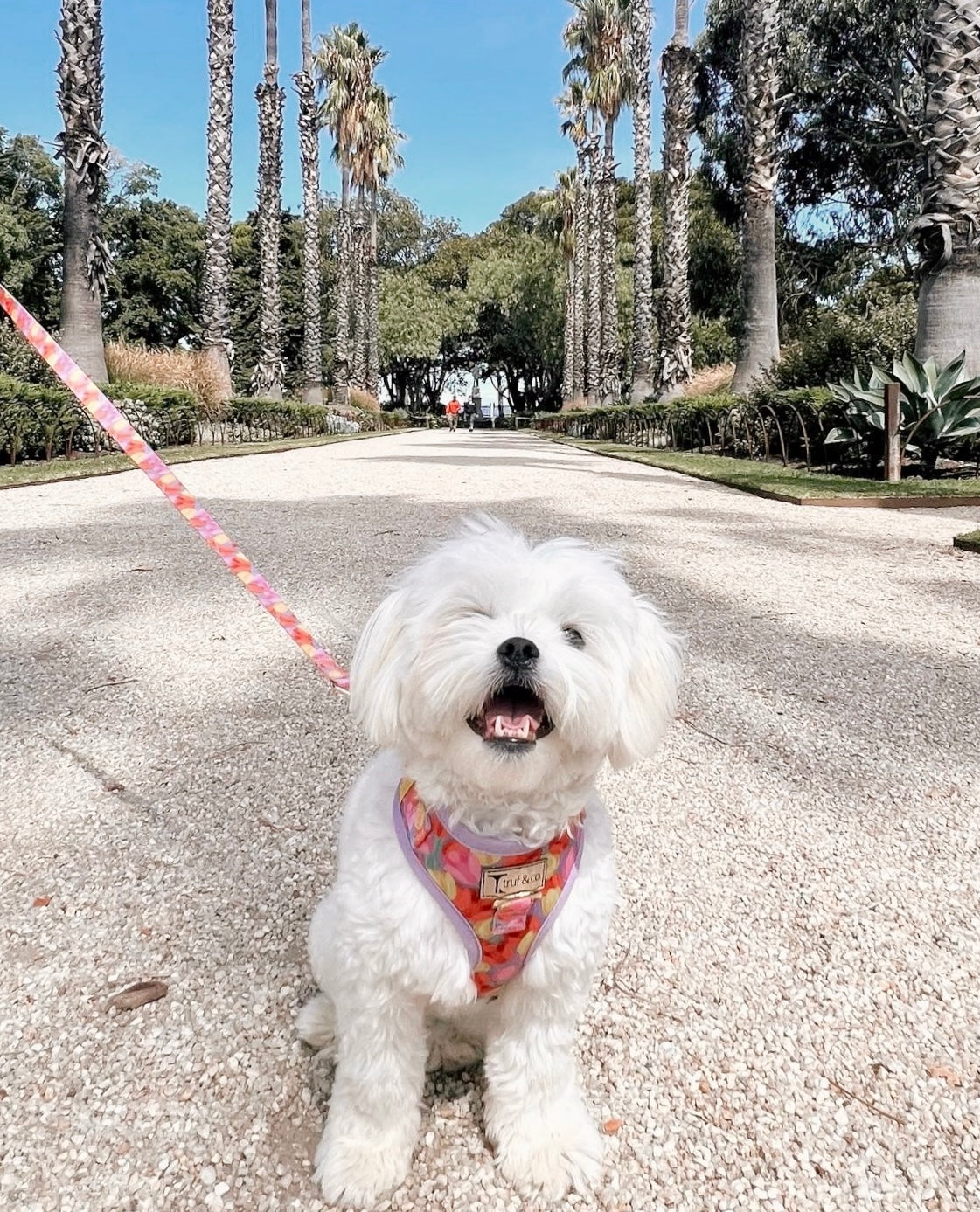 Blooming Adjustable Dog Harness