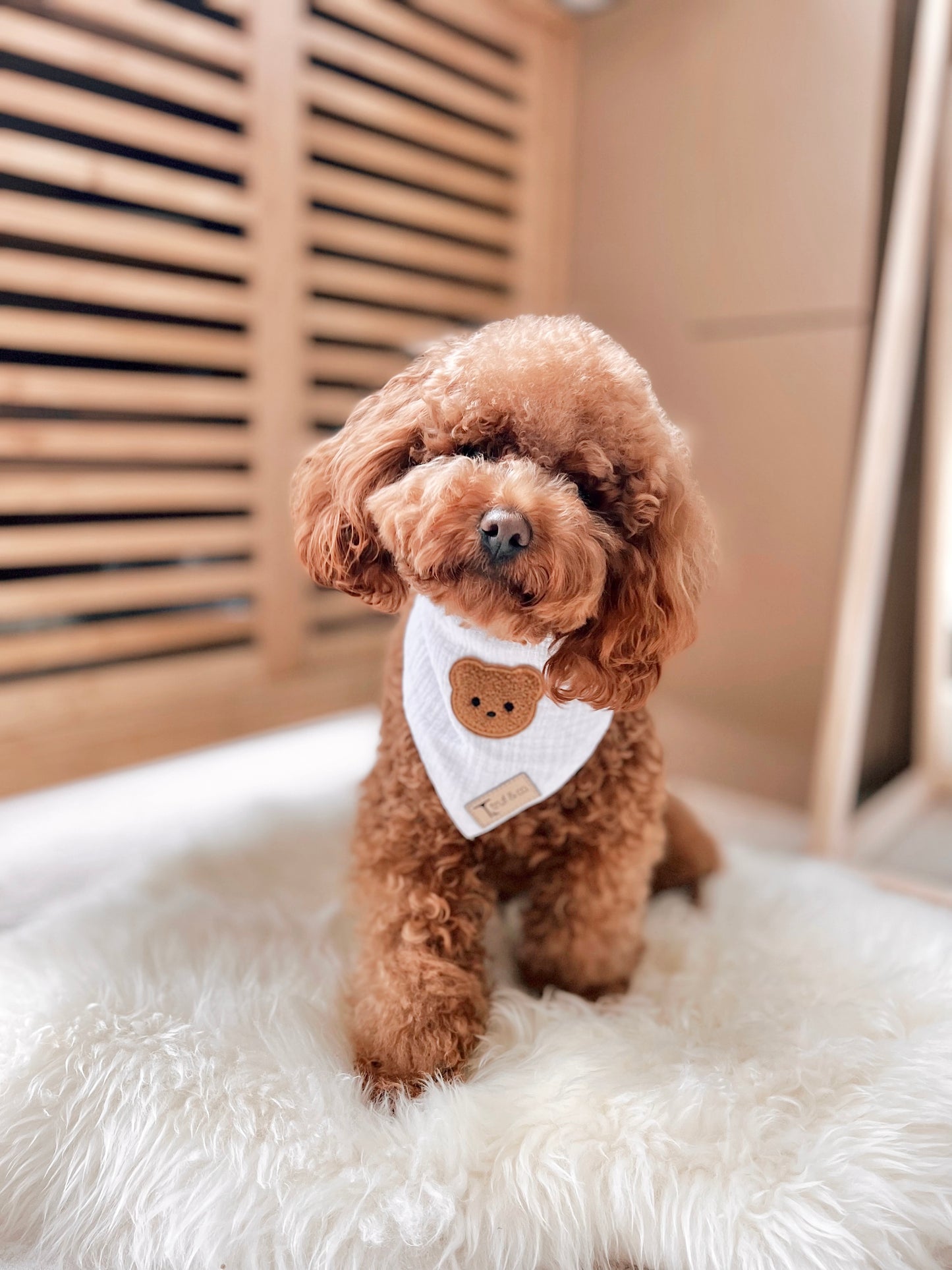 Teddy Bear Bandana