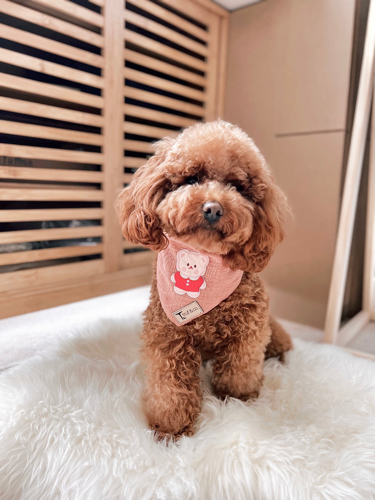 Little Red Bear Bandana