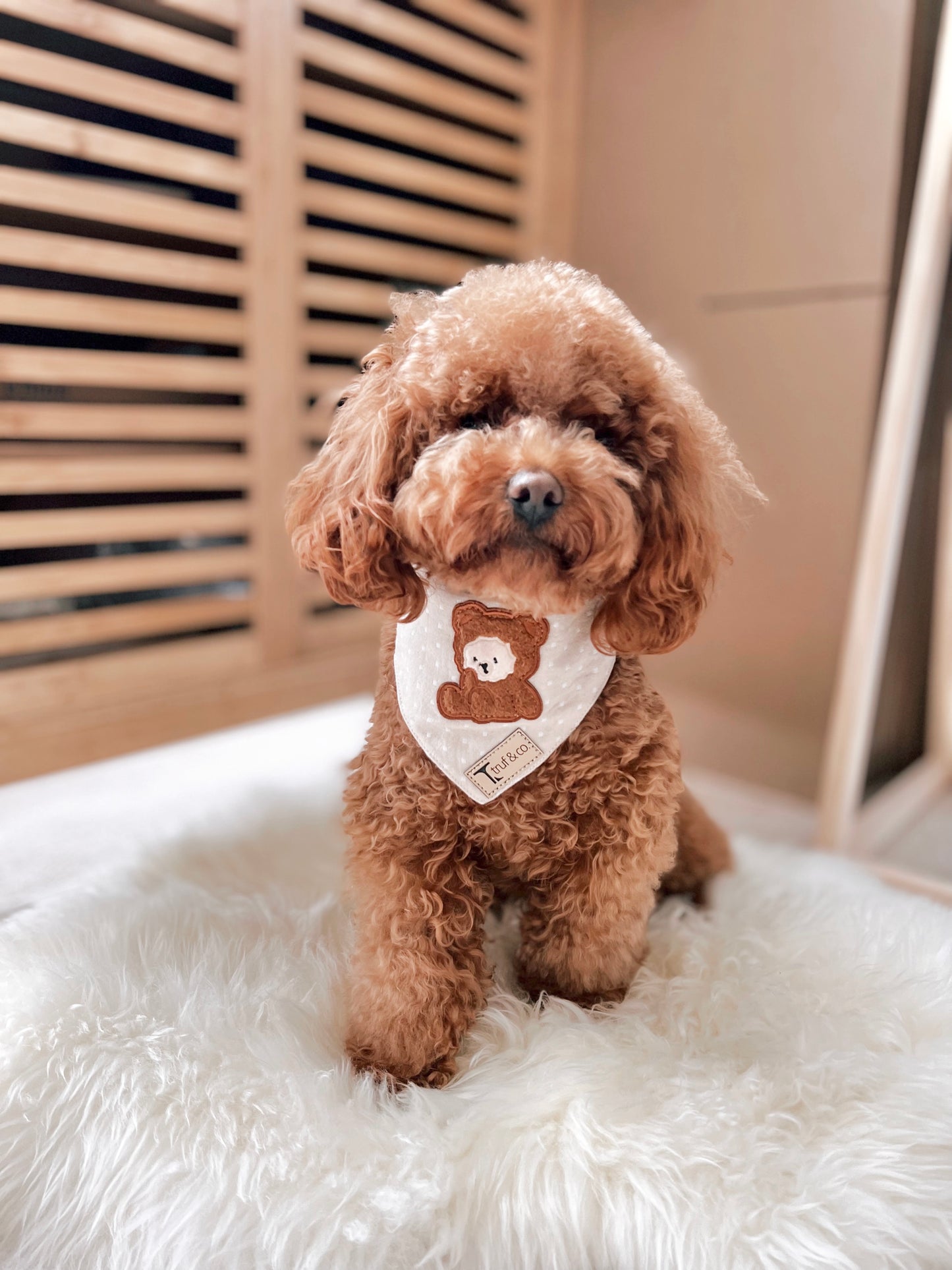 Brownies Bandana