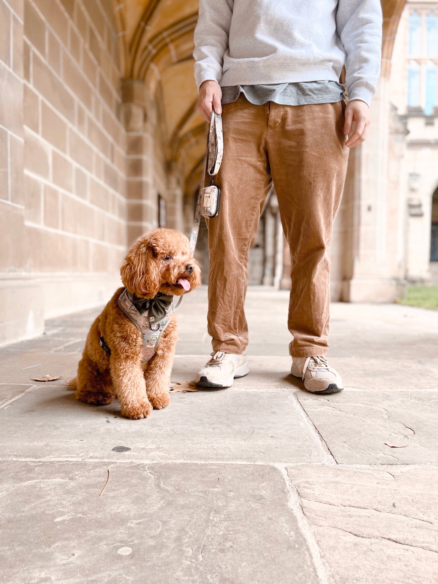 Joie de Vivre (Joy of living) Adjustable Dog Harness