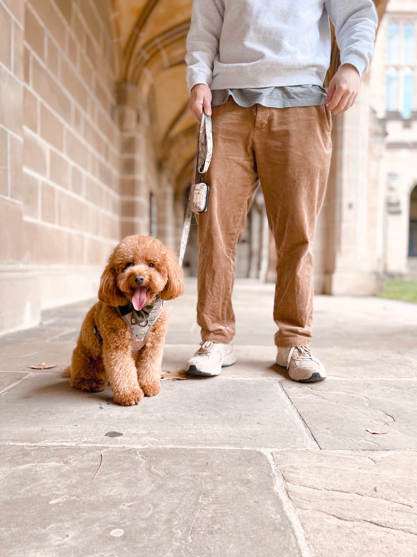 Joie de Vivre (Joy of living) Adjustable Dog Harness