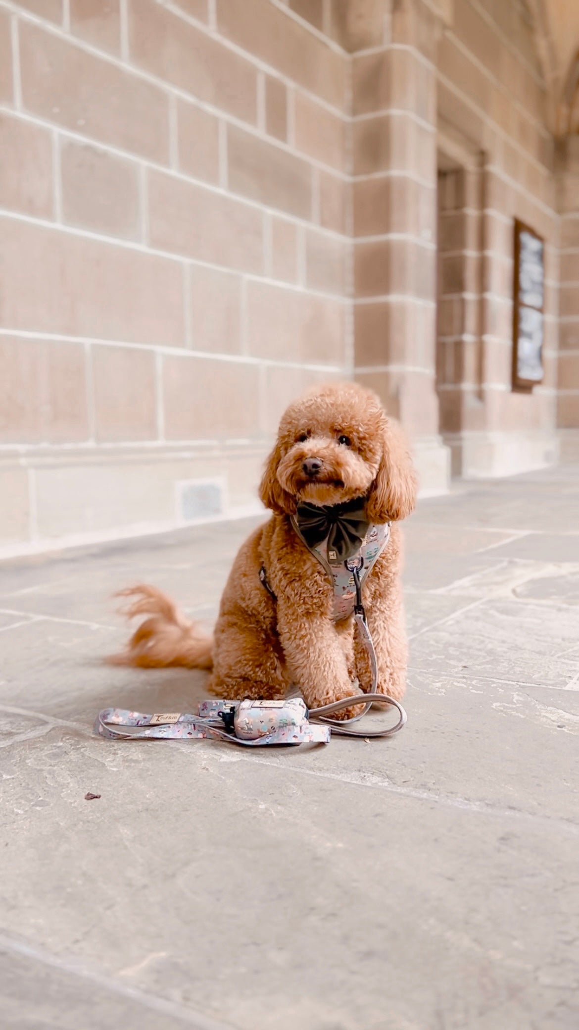 Joie de Vivre (Joy of living) Dog Waste Bag Holder