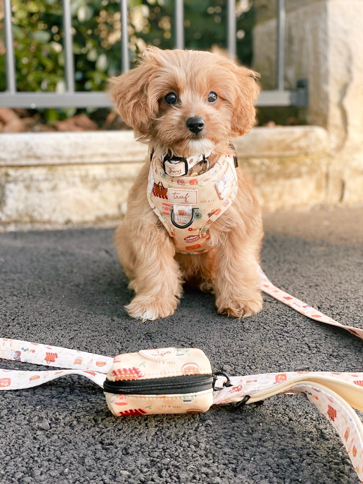 Lovers' Picnic Dog Leash