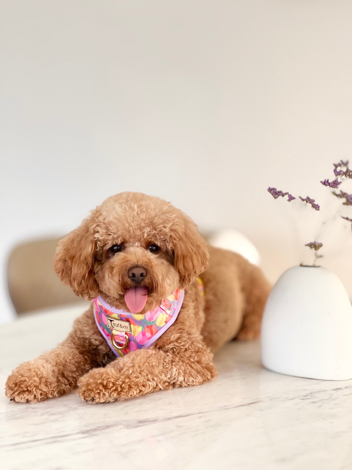 Blooming Adjustable Dog Harness