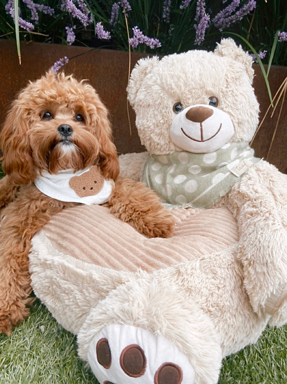 Cuddly Bear Pet Sofa