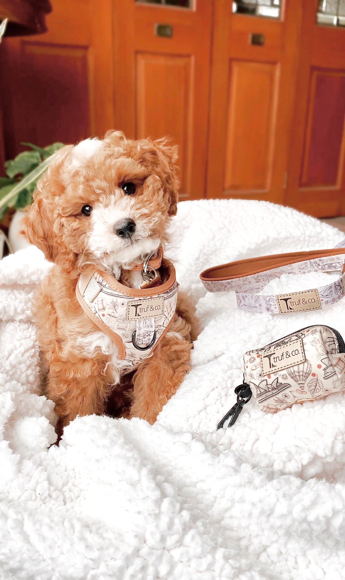 Wanderlust Dog Leash