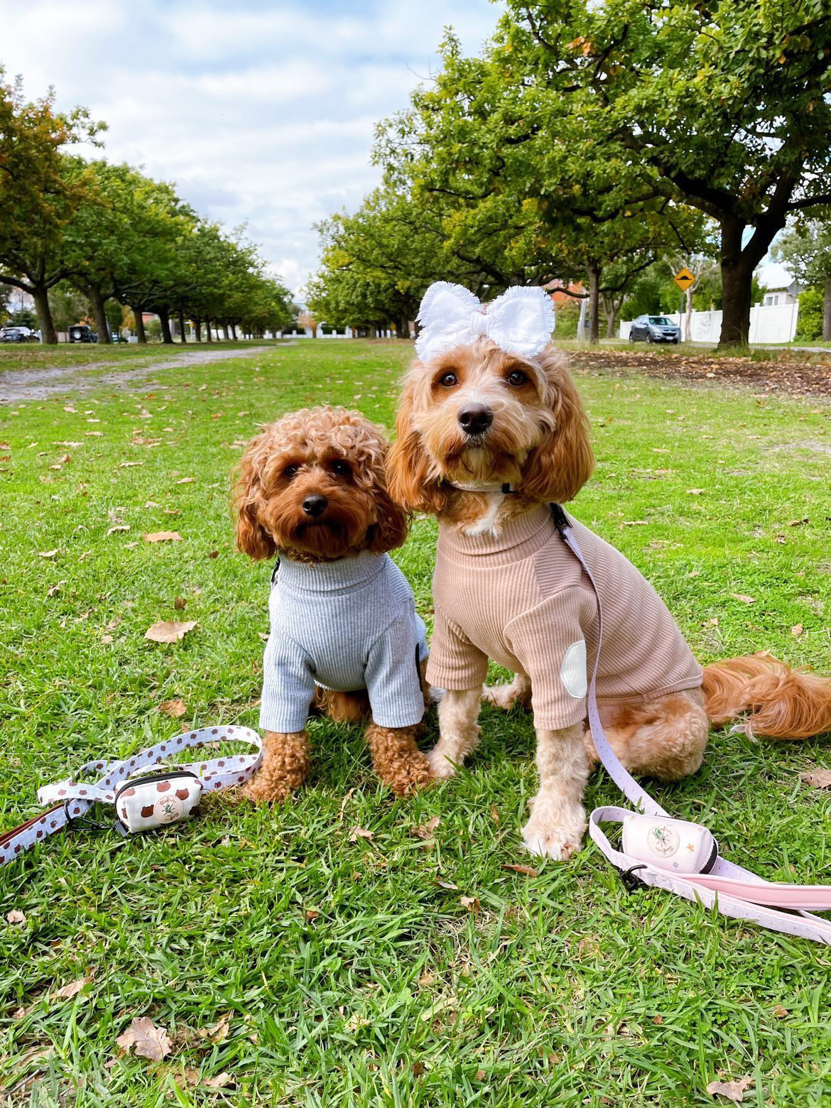 Truffle Dog Leash