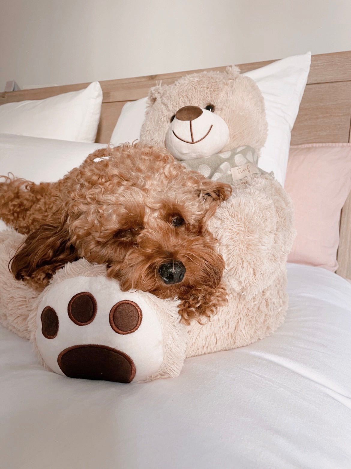 Cuddly Bear Pet Sofa