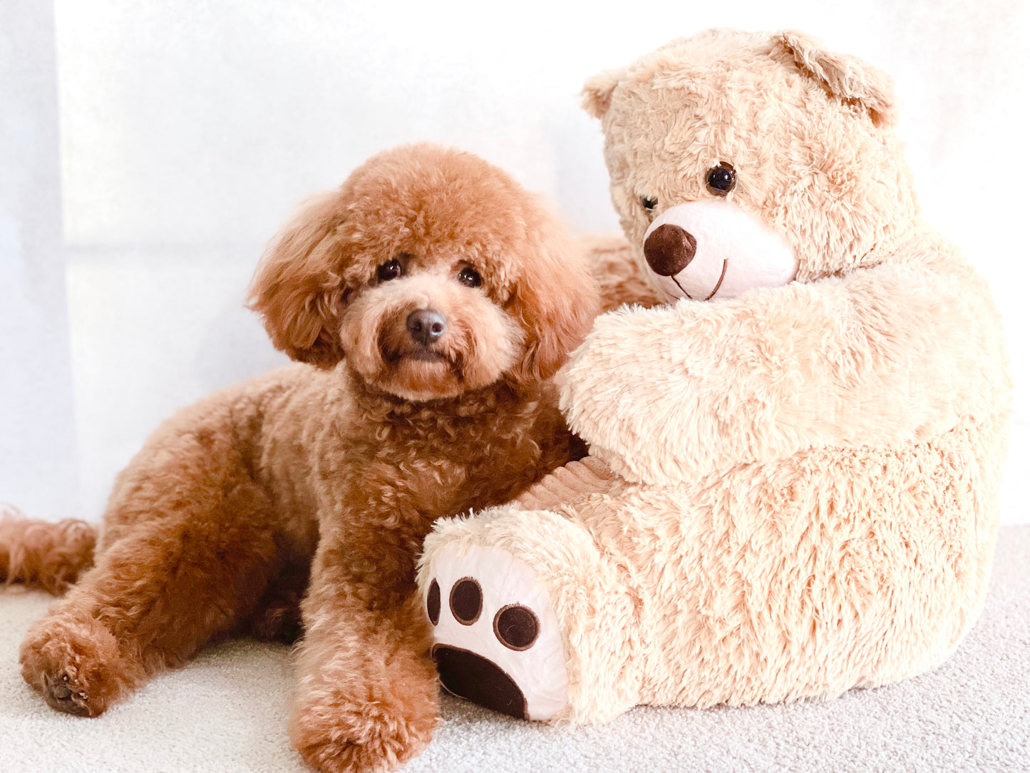 Cuddly Bear Pet Sofa