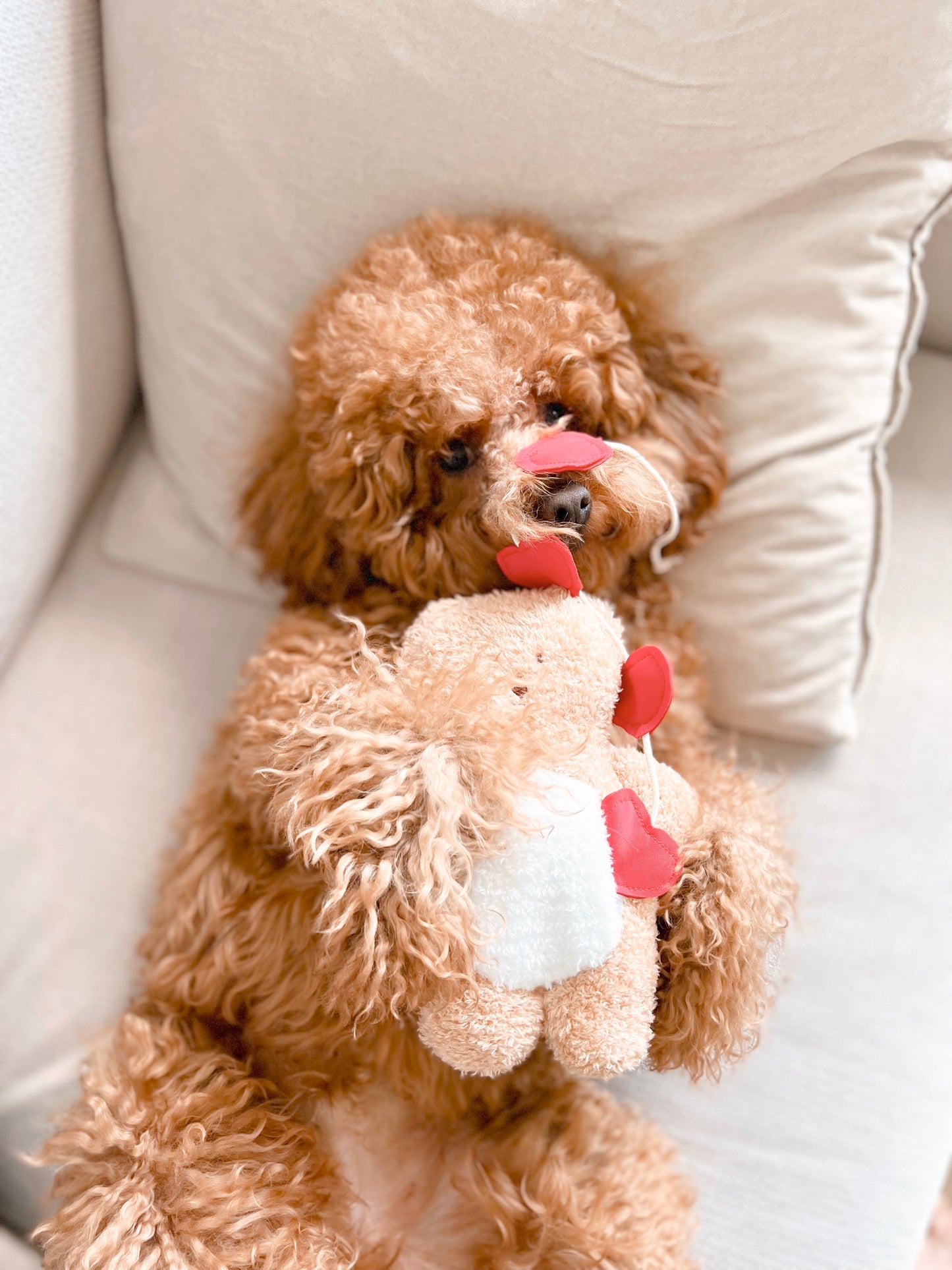 I Woof You Bear Pet Toy