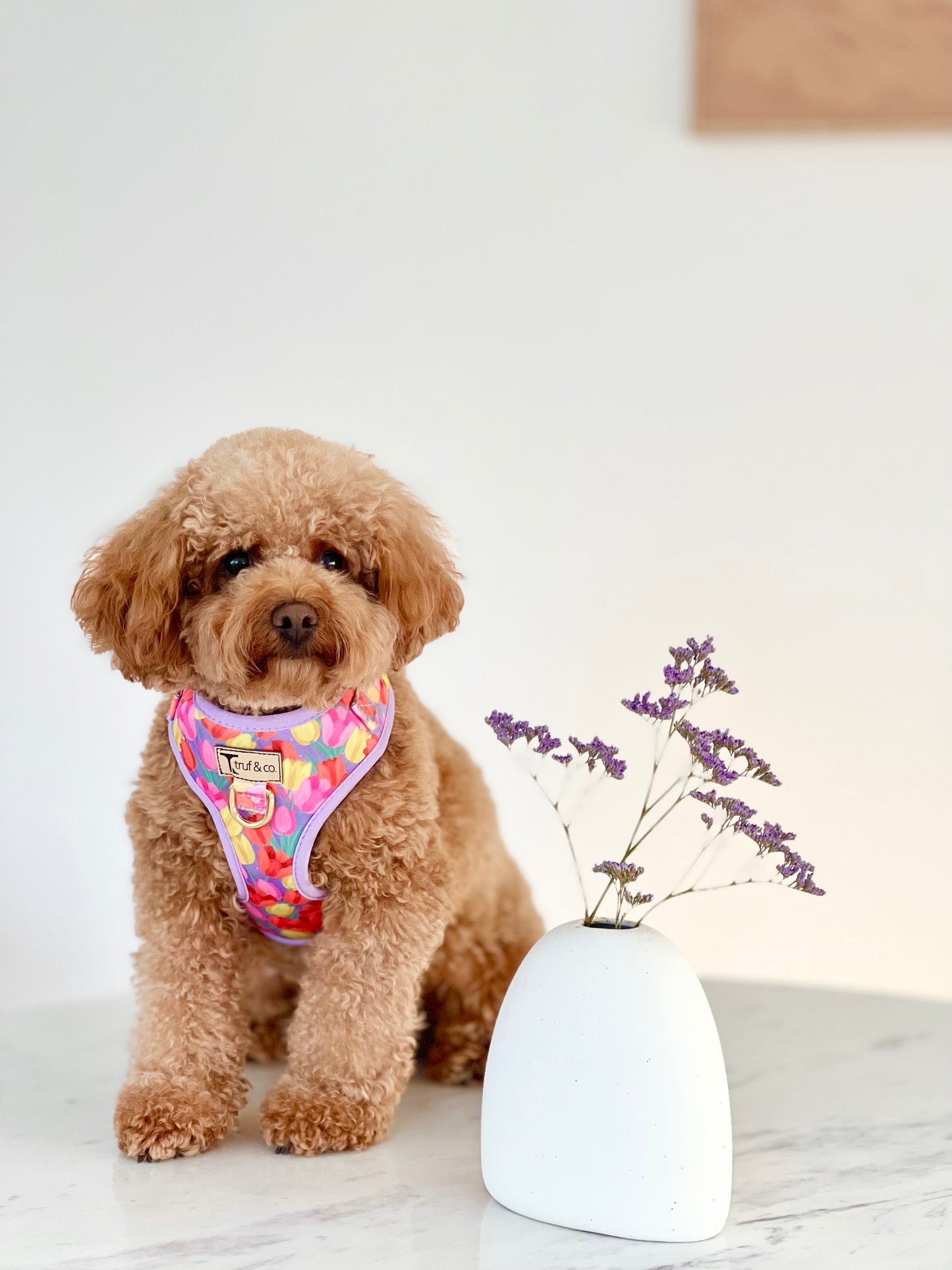 Blooming Adjustable Dog Harness