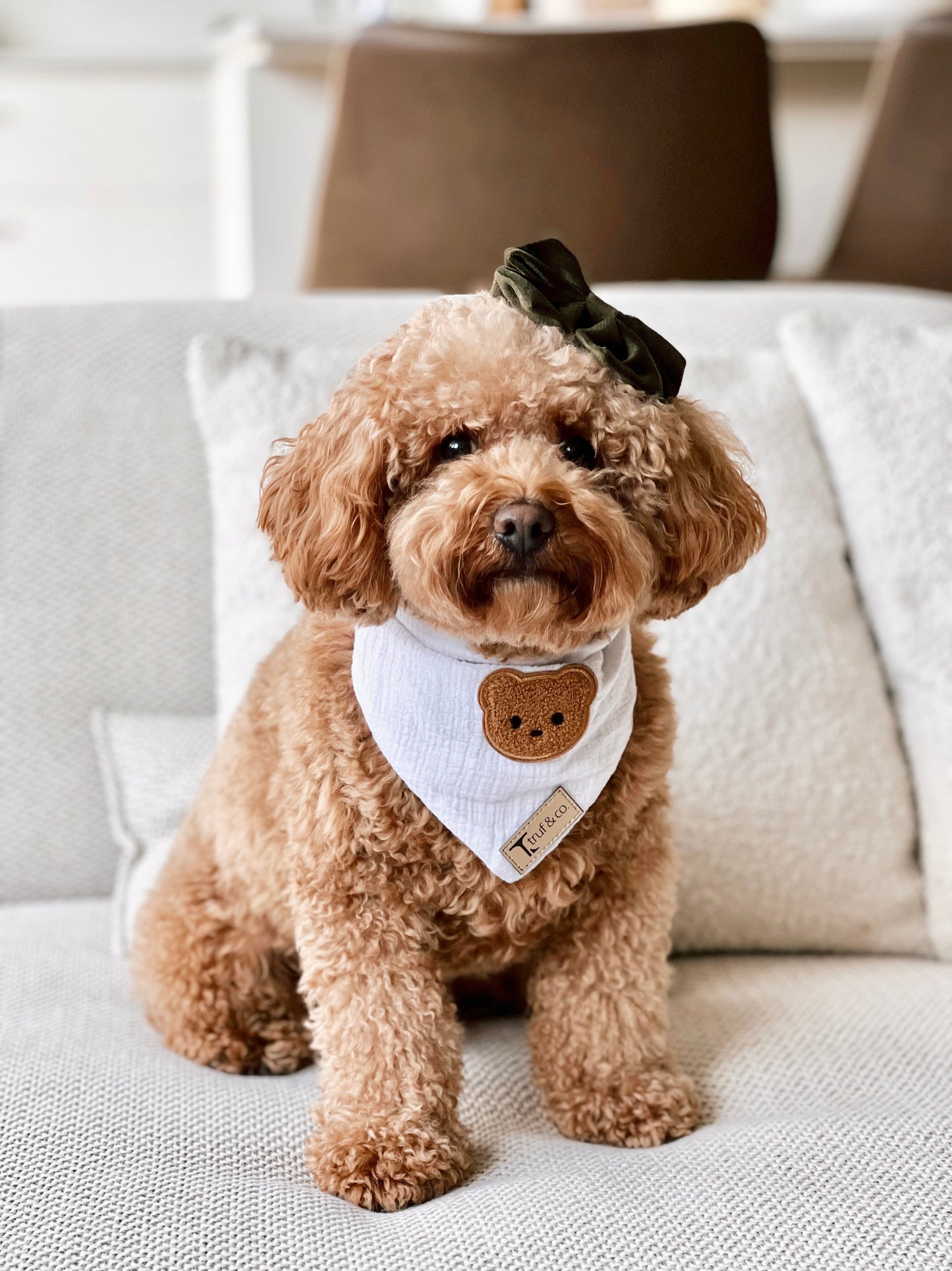 Teddy Bear Bandana