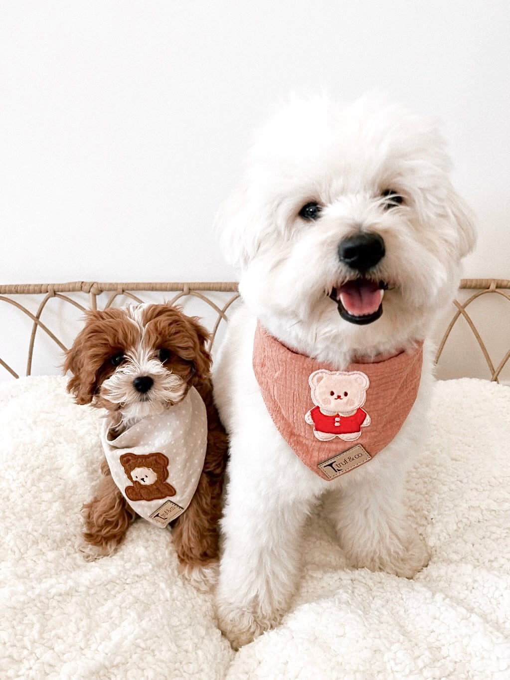 Little Red Bear Bandana