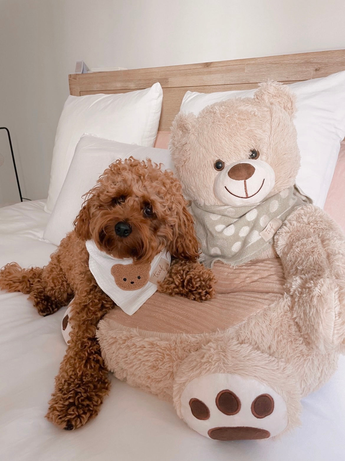 Cuddly Bear Pet Sofa