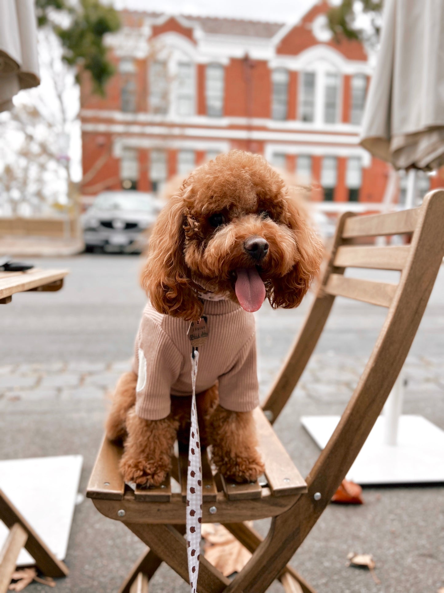 Bonheur Turtleneck Sweater