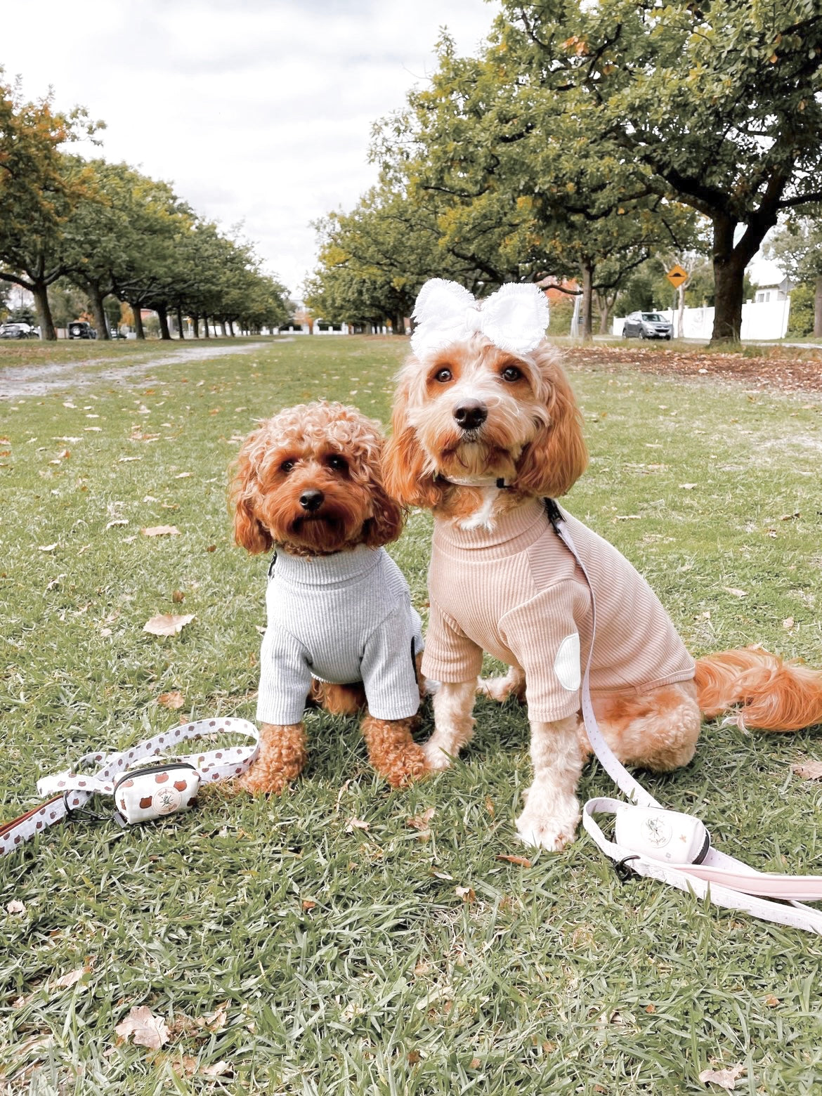 Truffle Dog Waste Bag Holder